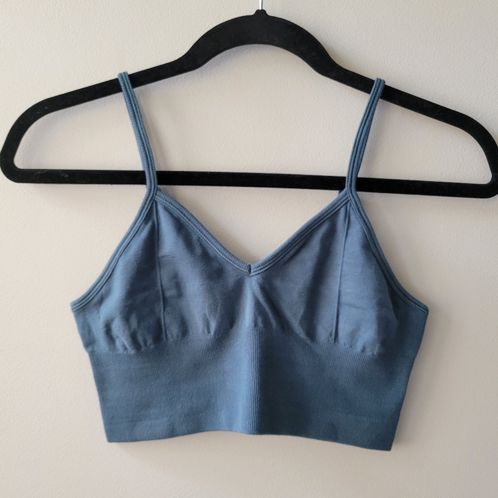 ALO Yoga Blue Sports Bra